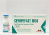 Kháng sinh Cefopefast 1000 (Cefoperazone 1g)