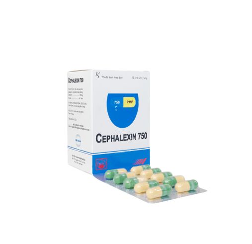 CEPHALEXIN 750